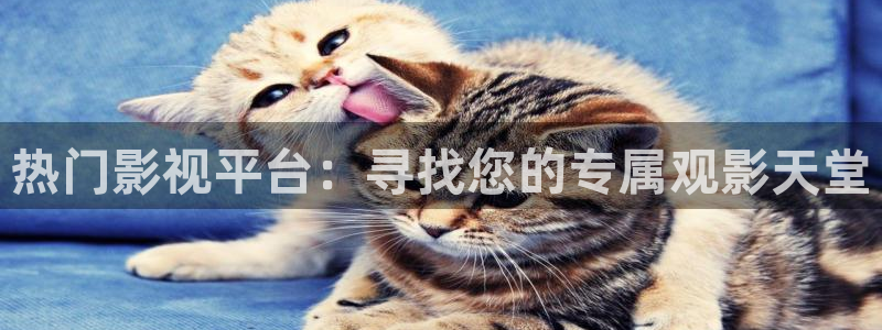 麻豆精品电影：热门影视平台：寻找您的专属观影天堂