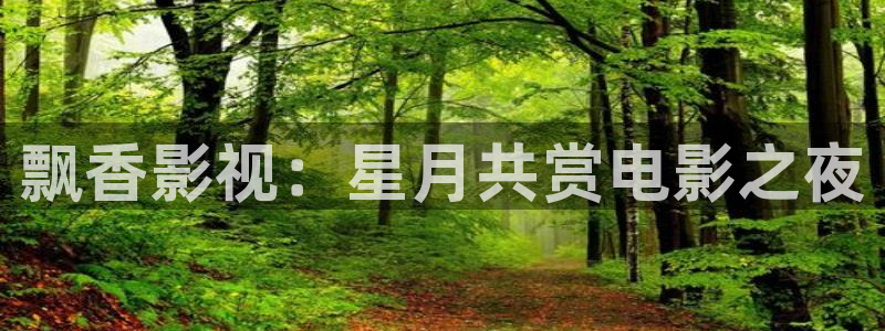 麻豆影视同事：飘香影视：星月共赏电影之夜