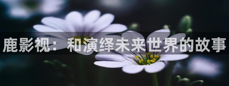 麻豆探花视频：鹿影视：和演绎未来世界的故事