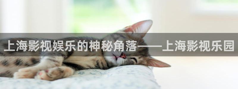 a级a做爰片欧美√在线麻豆：上海影视娱乐的神秘角落——上海影视乐园