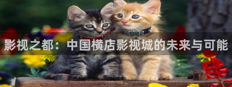 麻豆观影：影视之都：中国横店影视城的未来与可能