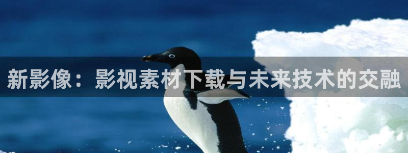 麻豆电影大全：新影像：影视素材下载与未来技术的交融