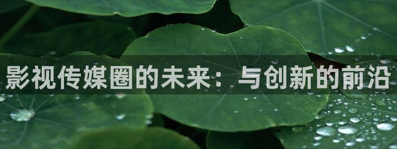 麻豆大片免费观看：影视传媒圈的未来：与创新的前沿