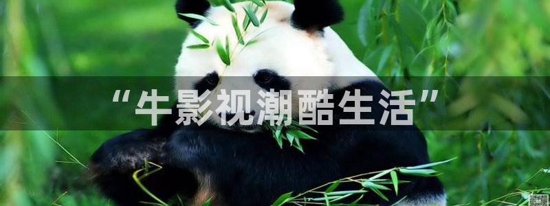 午夜电影国产精品麻豆：“牛影视潮酷生活”