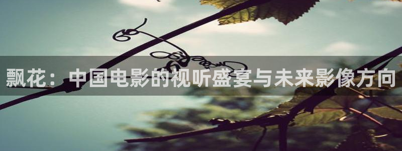 日韩五码高清麻豆：飘花：中国电影的视听盛宴与未来影像方向