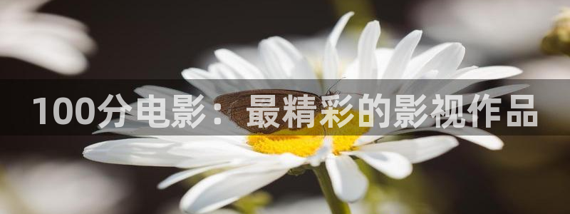 麻豆爱爱小视频：100分电影：最精彩的影视作品
