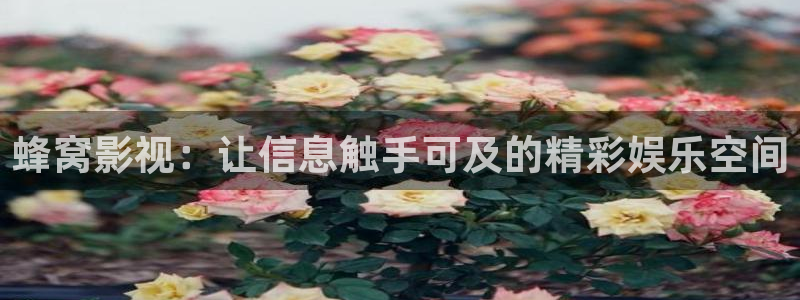 秋霞电影网麻豆：蜂窝影视：让信息触手可及的精彩娱乐空间