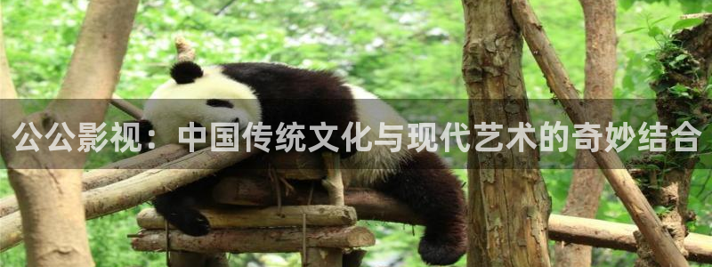 麻豆一级片电影：公公影视：中国传统文化与现代艺术的奇妙结合